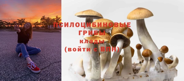 гашиш Белокуриха