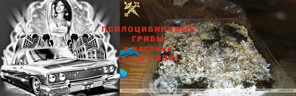 гашиш Белокуриха